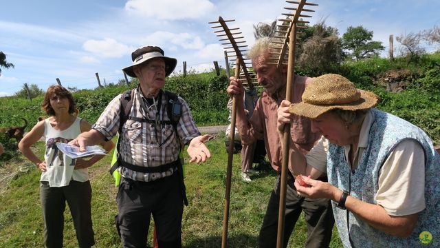 Randonnée joëlettes à Ramonchamp