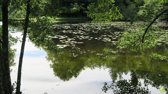 Randonnée joëlettes à Ramonchamp