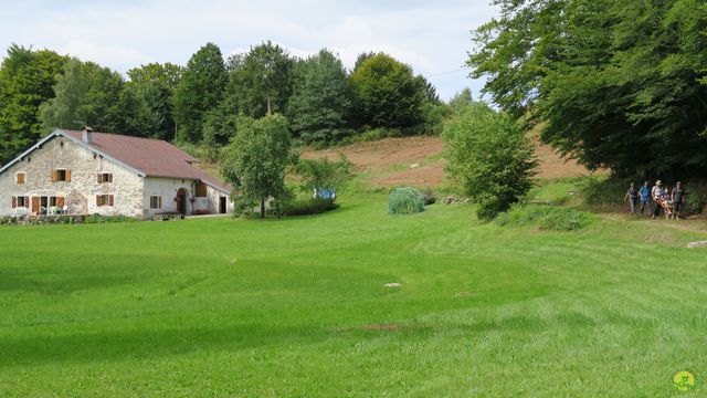 Randonnée joëlettes à Ramonchamp