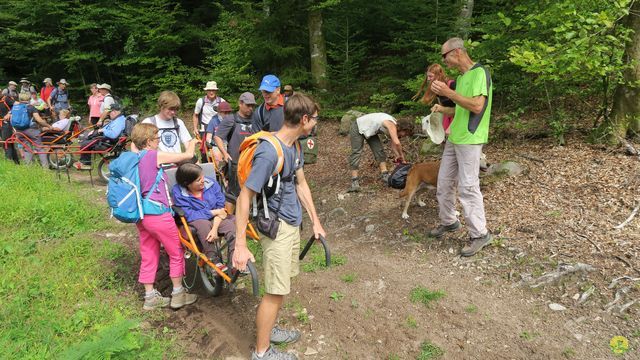 Randonnée joëlettes à Ramonchamp