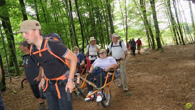 Randonnée joëlettes à Ramonchamp