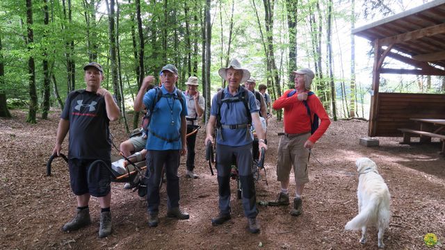 Randonnée joëlettes à Ramonchamp