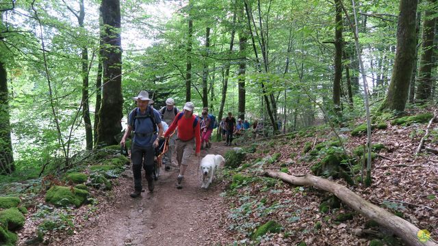 Randonnée joëlettes à Ramonchamp