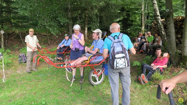 Randonnée joëlettes à Ramonchamp