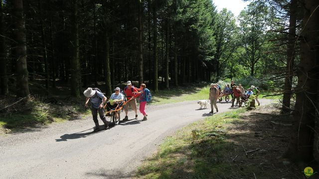 Randonnée joëlettes à Ramonchamp