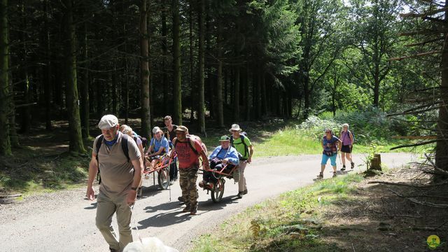 Randonnée joëlettes à Ramonchamp