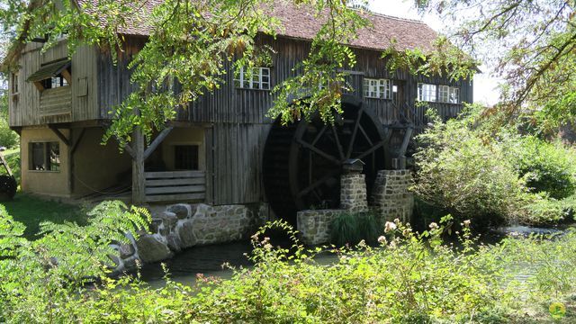 Randonnée joëlettes à Ramonchamp