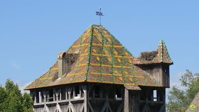 Randonnée joëlettes à Ramonchamp