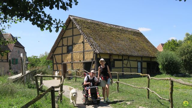 Randonnée joëlettes à Ramonchamp