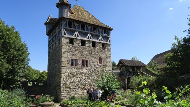 Randonnée joëlettes à Ramonchamp