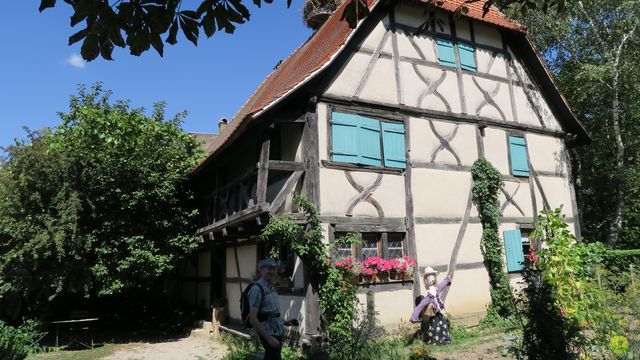 Randonnée joëlettes à Ramonchamp