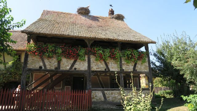 Randonnée joëlettes à Ramonchamp