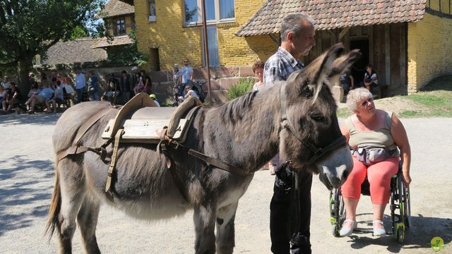 Randonnée joëlettes à Ramonchamp