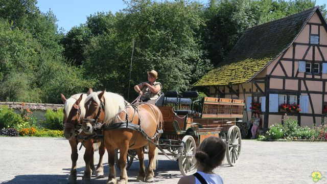 Randonnée joëlettes à Ramonchamp