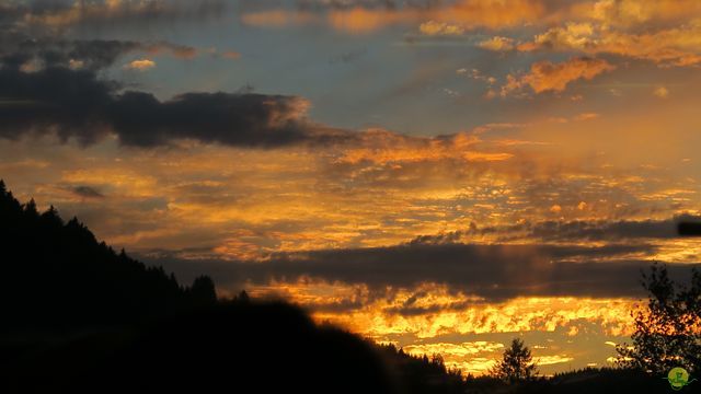 Randonnée joëlettes à Ramonchamp