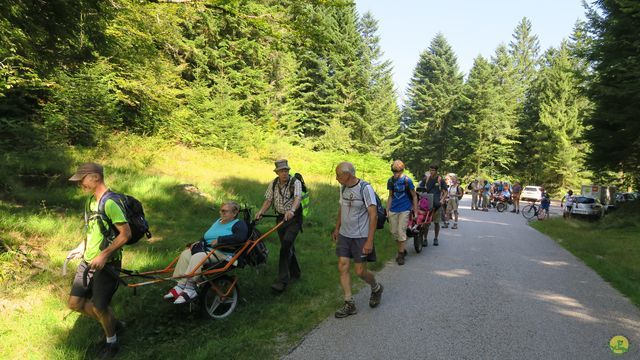 Randonnée joëlettes à Ramonchamp