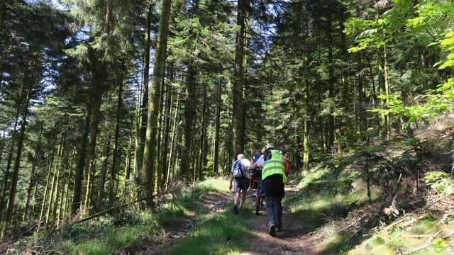 Randonnée joëlettes à Ramonchamp