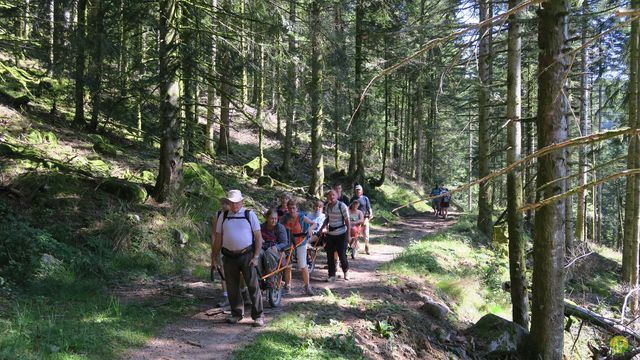 Randonnée joëlettes à Ramonchamp