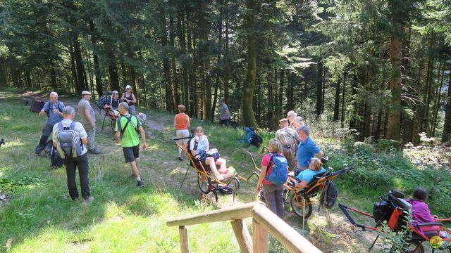 Randonnée joëlettes à Ramonchamp