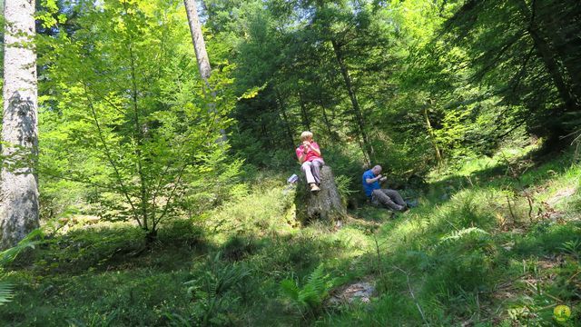 Randonnée joëlettes à Ramonchamp