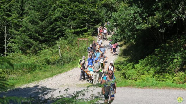 Randonnée joëlettes à Ramonchamp