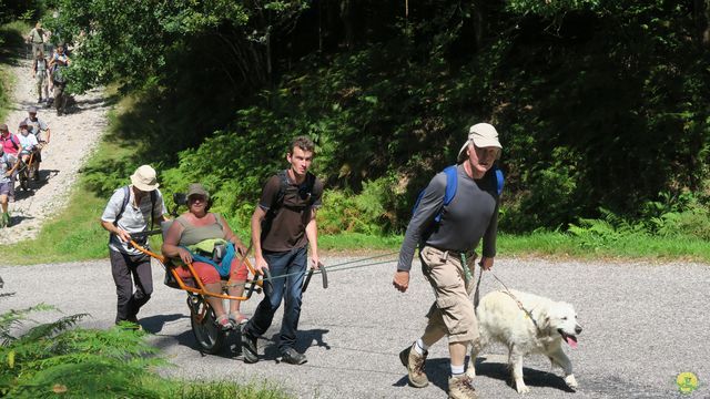 Randonnée joëlettes à Ramonchamp