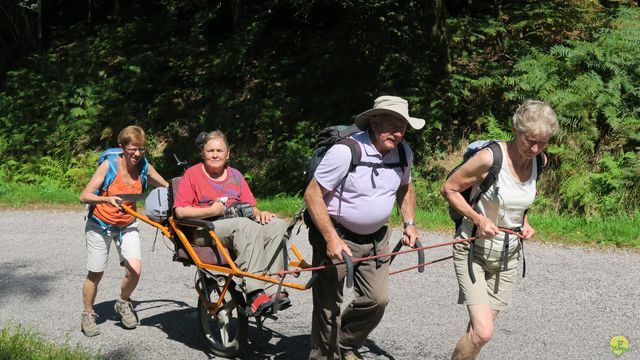 Randonnée joëlettes à Ramonchamp