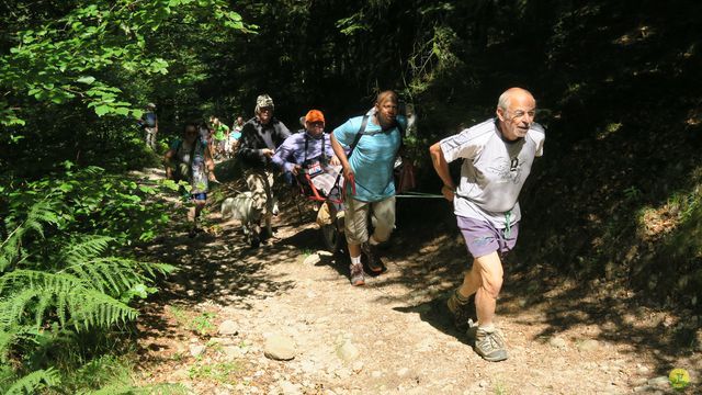 Randonnée joëlettes à Ramonchamp