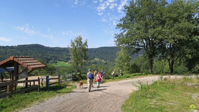 Randonnée joëlettes à Ramonchamp