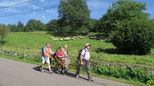 Randonnée joëlettes à Ramonchamp