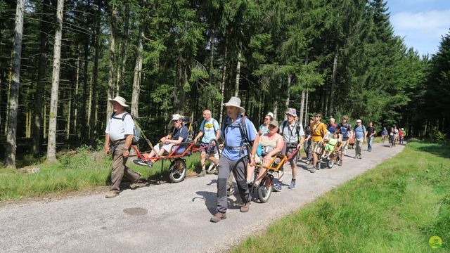 Randonnée joëlettes à Ramonchamp