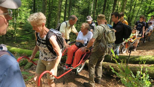 Randonnée joëlettes à Ramonchamp