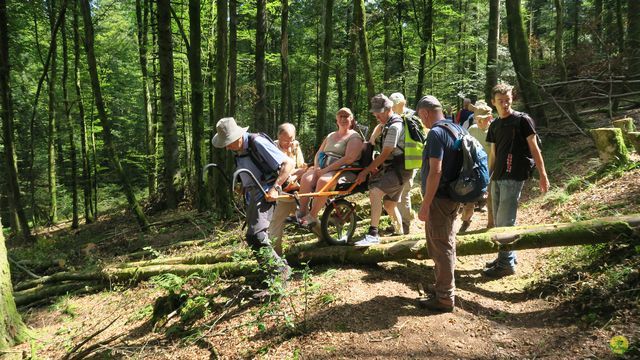 Randonnée joëlettes à Ramonchamp