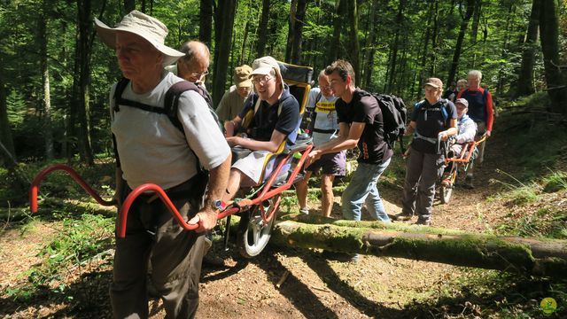 Randonnée joëlettes à Ramonchamp