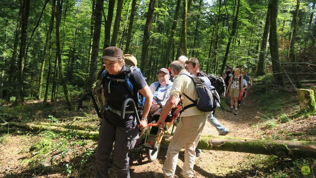 Randonnée joëlettes à Ramonchamp