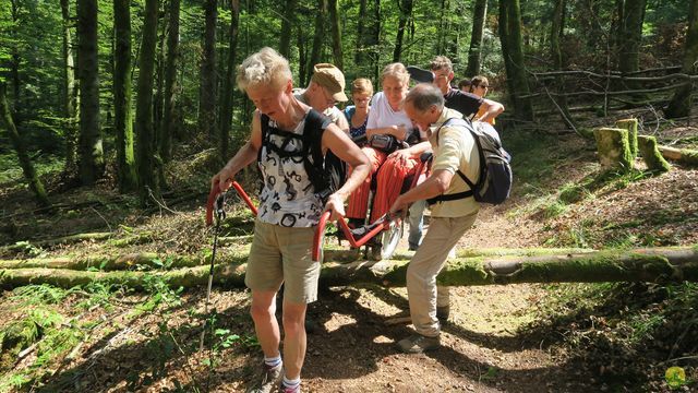 Randonnée joëlettes à Ramonchamp