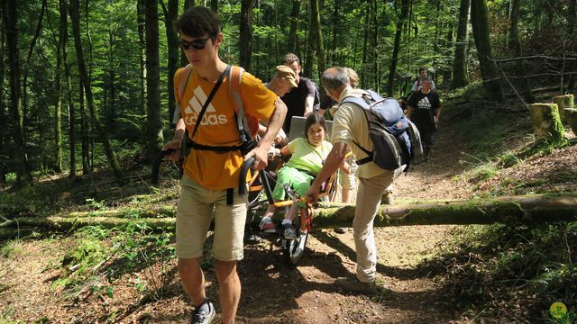 Randonnée joëlettes à Ramonchamp