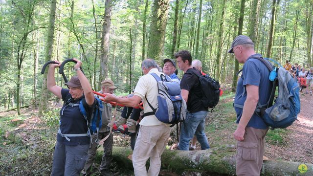 Randonnée joëlettes à Ramonchamp