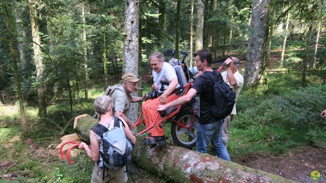 Randonnée joëlettes à Ramonchamp