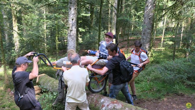 Randonnée joëlettes à Ramonchamp