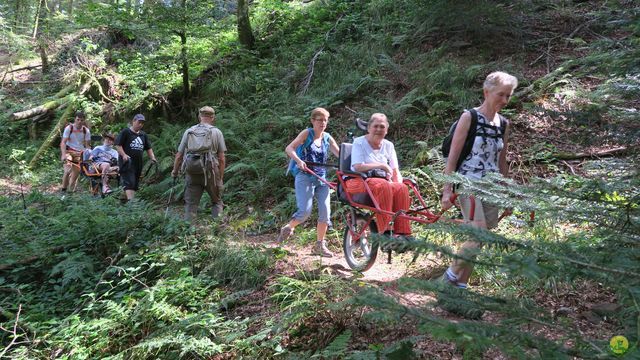 Randonnée joëlettes à Ramonchamp