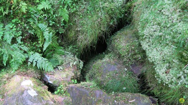 Randonnée joëlettes à Ramonchamp