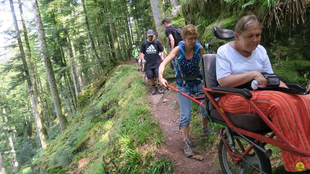 Randonnée joëlettes à Ramonchamp