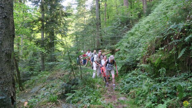 Randonnée joëlettes à Ramonchamp