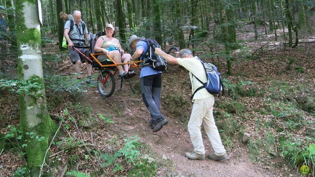 Randonnée joëlettes à Ramonchamp