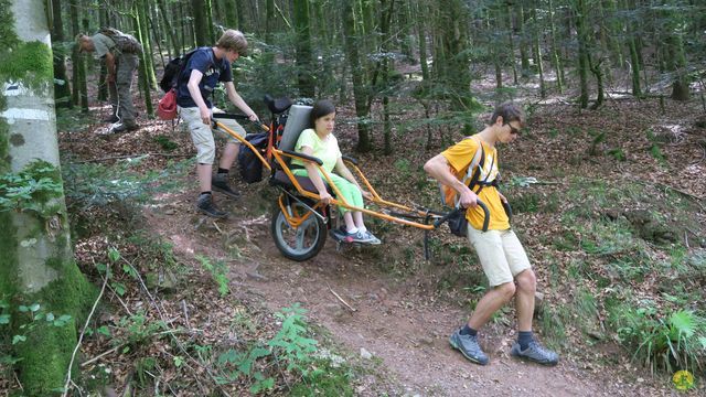 Randonnée joëlettes à Ramonchamp