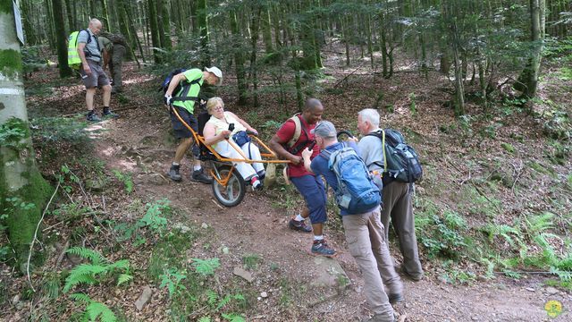 Randonnée joëlettes à Ramonchamp