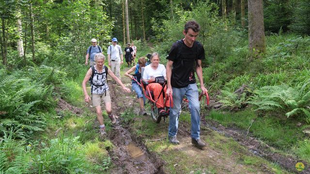 Randonnée joëlettes à Ramonchamp