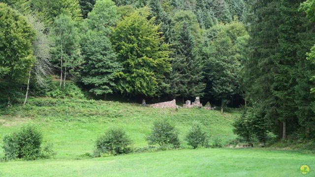 Randonnée joëlettes à Ramonchamp