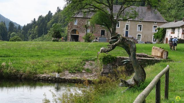 Randonnée joëlettes à Ramonchamp